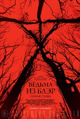 Постер фильма Ведьма из Блэр: Новая глава (2016)