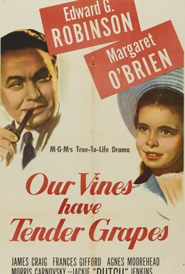 Постер фильма У нас растет нежный виноград (1945)