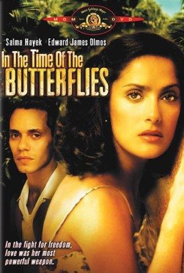 Постер фильма Времена бабочек (2001)