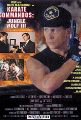 Постер фильма Каратэ коммандос: Волк джунглей 3 (1995)