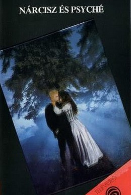 Постер фильма Нарцисс и Психея (1980)