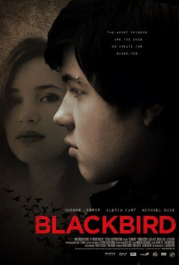 Постер фильма Чёрный дрозд (2012)