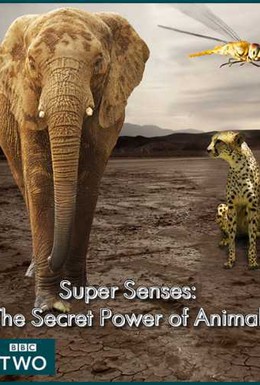 Постер фильма Уникальные способности животных (2014)