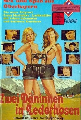Постер фильма Две датчанки в кожаных штанах (1979)