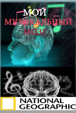 Постер фильма Мой музыкальный мозг (2009)