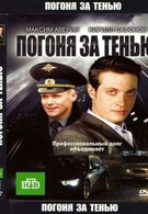 Погоня за тенью (2010)