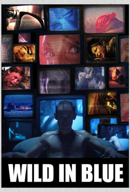 Постер фильма Зверство на голубом экране (2015)