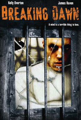 Постер фильма Спастись до рассвета (2004)