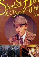 Sherlock Holmes and Doctor Watson (1980)