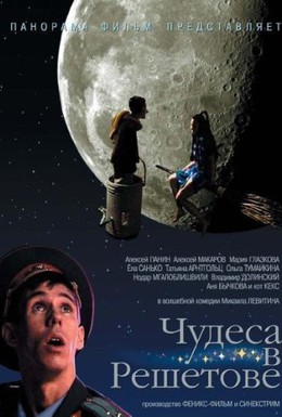 Постер фильма Чудеса в Решетове (2004)