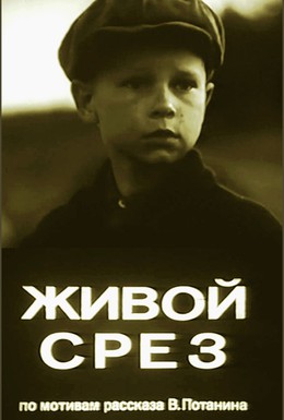 Постер фильма Живой срез (1980)