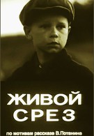 Живой срез (1980)