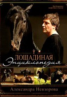 Лошадиная энциклопедия (2005)