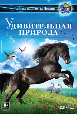 Постер фильма Удивительная природа 3D (2012)