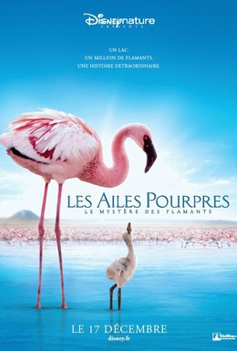 Постер фильма Пурпурные крылья: Тайна фламинго (2008)