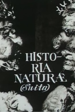 Постер фильма Естественная история (сюита) (1967)