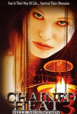 Постер фильма Проклятое ущелье (1998)