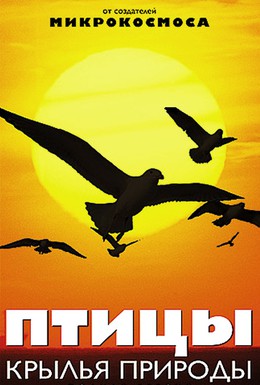 Постер фильма Птицы: Крылья природы (2002)