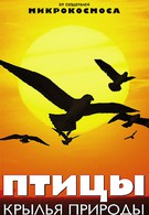 Птицы: Крылья природы (2002)