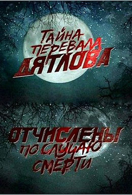 Постер фильма Перевал Дятлова. Отчислены по случаю смерти (2013)