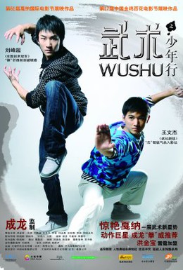 Постер фильма Ушу (2008)