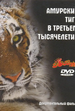 Постер фильма Амурский тигр в третьем тысячелетии (2010)