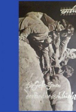 Постер фильма Пленники Барсова ущелья (1957)