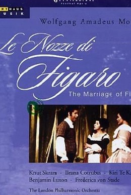 Постер фильма Свадьба Фигаро (1974)