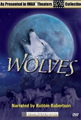 Постер фильма Волки (1999)