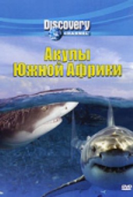 Постер фильма Акулы Южной Африки (2001)