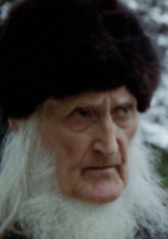 Мистер Виг