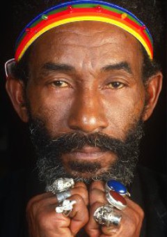 Lee Perry
